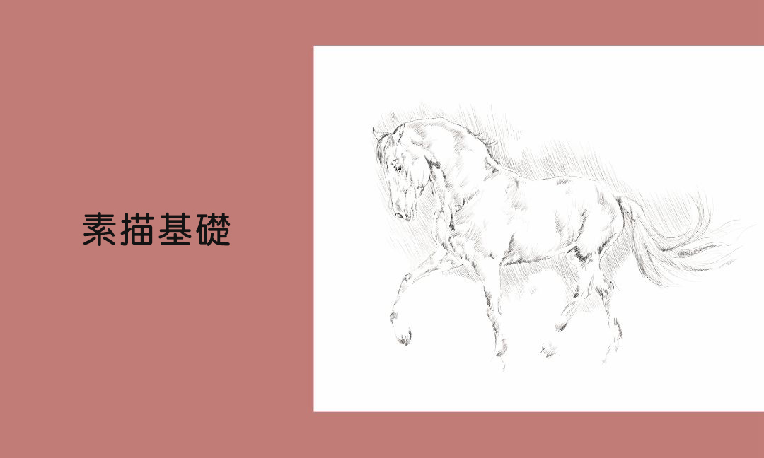 素描基礎Ⅳ